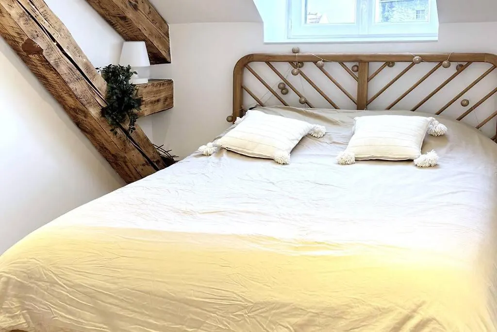 Apartment Le Serenite, T2 Hyper Centre, Calme Et Cosy Annecy