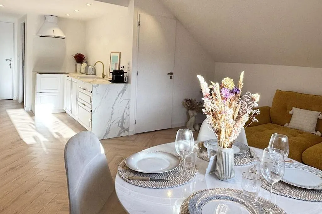 Apartment Le Serenite, T2 Hyper Centre, Calme Et Cosy Annecy France